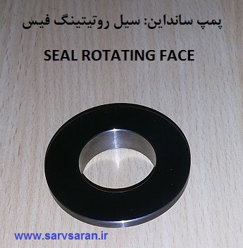 seal-rotating-face